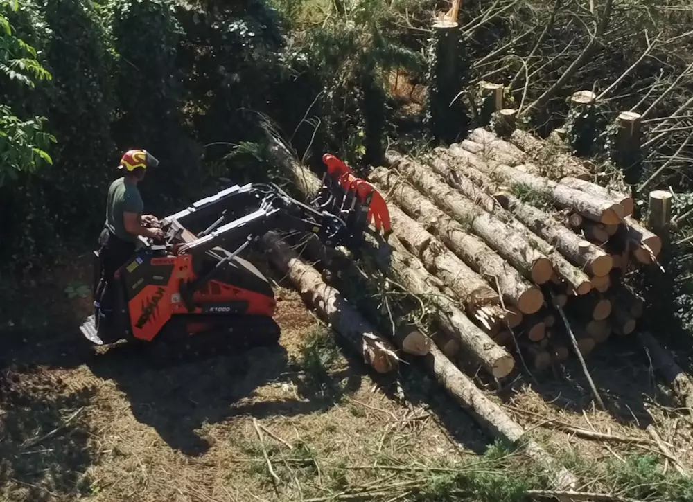 Mini chargeuse KODIAK K1000 1