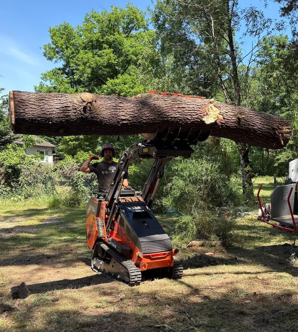 Mini chargeuse KODIAK K1000 5